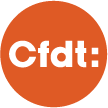 2013 logo CFDT fede trans